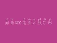 河池seo培训大概价格，seo优化视频教程