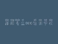 邵阳专业seo培训学校，那些网站优化