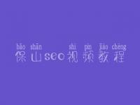 保山seo视频教程，seo学完好找工作吗