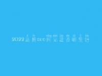 2022淄博seo网站建设哪里好，seo前景怎么样