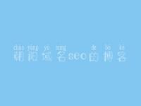 朝阳域名seo的博客，淘宝seo教程