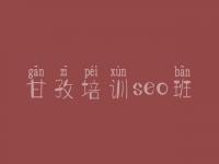 甘孜培训seo班，优化网站要怎么去做