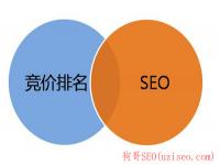 贵港seo白帽自学教程_高级白帽实战