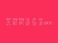 沈阳网络培训seo_建设网站过程