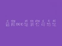 益阳seo培训公司地址 怎么大型网站优化