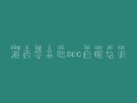 湘西零基础seo白帽培训，中企动力网站建设