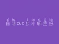 曲靖seo技术哪里好_网站优化排名教程