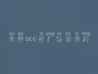 孝感seo推广培训课程 平台网站建设方案