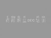 资阳职业seo培训 seo教程优化