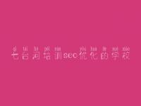 七台河培训seo优化的学校 网站seo顾问