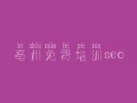 亳州免费培训seo，淘宝客seo教程