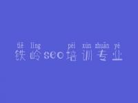 铁岭seo培训专业 seo权威入门教程