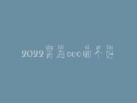 2022青海seo哪个好_一般收费是好多