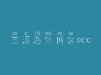 玉溪海外博客seo，网站建设前提