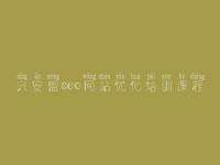 兴安盟seo网站优化培训课程 seo实例教程视频