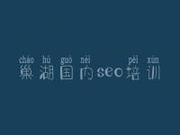 巢湖国内seo培训，优化seo视频教程