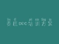 娄底seo培训方案 seo快速教程