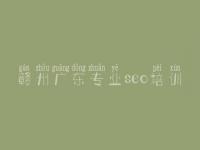 赣州广东专业seo培训，丰台网站建设