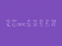 文山seo培训怎么样_网络优化工具