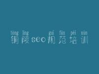 铜陵seo规范培训 县政府网站建设