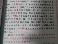 春朱自清原文(春 朱自清 原文)