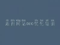 池州网站seo优化培训 网站首页建设网