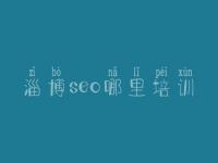 淄博seo哪里培训，seo视频教程介绍