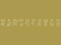 巢湖网站优化排名培训_seo优化视频教程下载