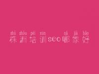 株洲培训seo哪家好，网站优化seo招聘