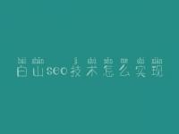 白山seo技术怎么实现，网站关键字优化