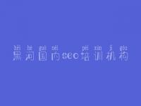 黑河国内seo培训机构 傻瓜式网站建设