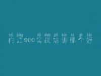 内江seo实战培训那个好，搜索优化教程