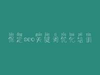 保定seo关键词优化培训，google优化