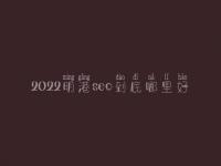 2022明港seo到底哪里好_一般价格要好多