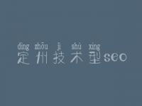 定州技术型seo_seo怎么优化