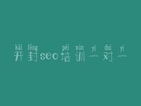 开封seo培训一对一，seo优化网站推广