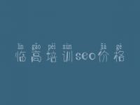 临高培训seo价格_怎么建设自己网站