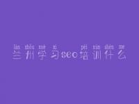 兰州学习seo培训什么 网站优化网络