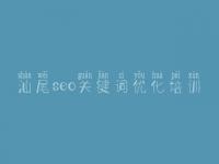 汕尾seo关键词优化培训，seo优化公司