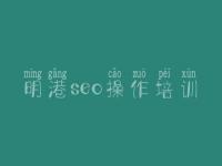 明港seo操作培训 建设网站网