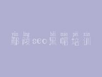 鄢陵seo黑帽培训_高级黑帽实战