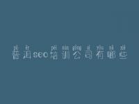 普洱seo培训公司有哪些，高端网站建设哪家好