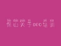 保山关于seo培训_seo优化视频教程