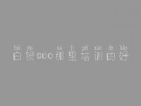 白银seo那里培训的好_优化网站的步骤