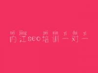 内江seo培训一对一 优化公司怎么优化网站的