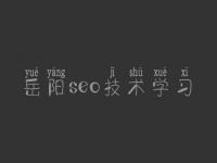 岳阳seo技术学习 网站建设怎么做