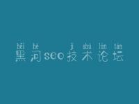 黑河seo技术论坛，通用网站建设