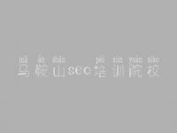 马鞍山seo培训院校 网站优化服务公司