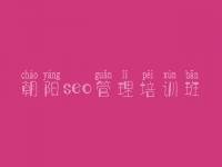 朝阳seo管理培训班 网站优化网站