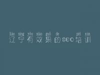 辽宁有效果的seo培训 官网排名优化